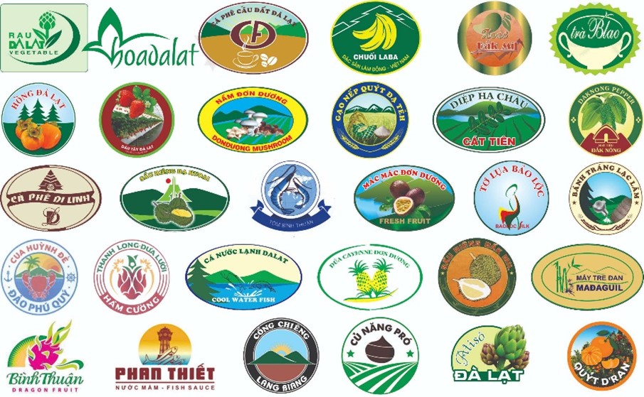 Lâm Đồng tháo gỡ “điểm nghẽn” tài chính, tạo động lực phát triển khoa học, công nghệ và đổi mới sáng tạo